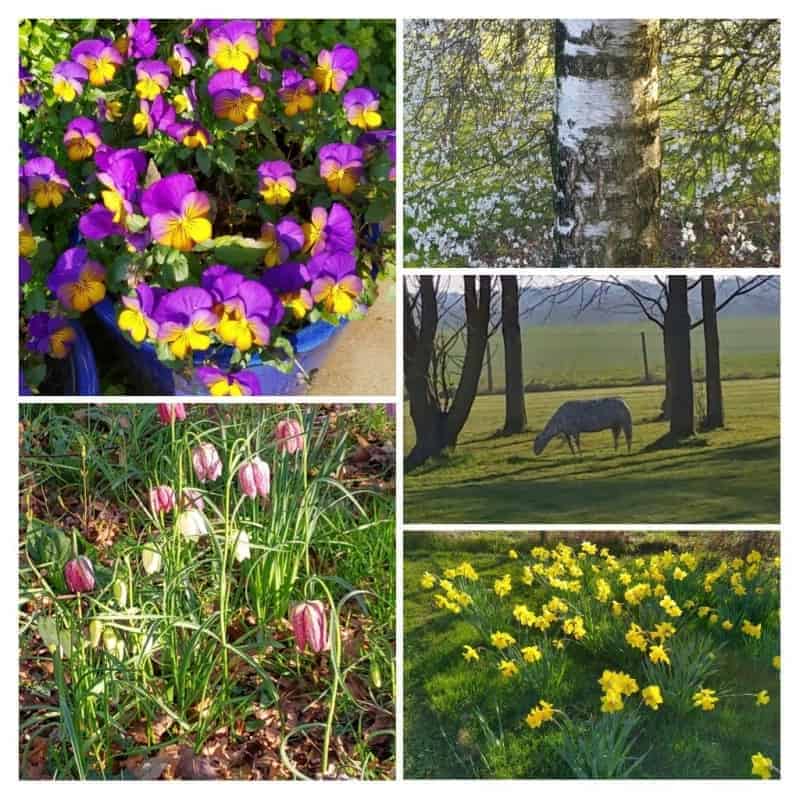 Spring | Fineila.com